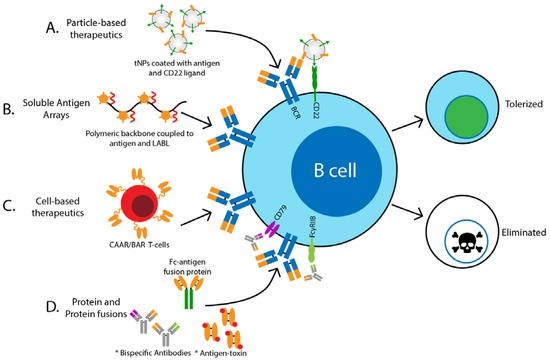 Biomed_MDPI's tweet photo. Therapeutic Targeting of Autoreactive #B_Cells: Why, How, and When?
https://t.co/tdaIY2eniA https://t.co/aDtJc2n2AU
