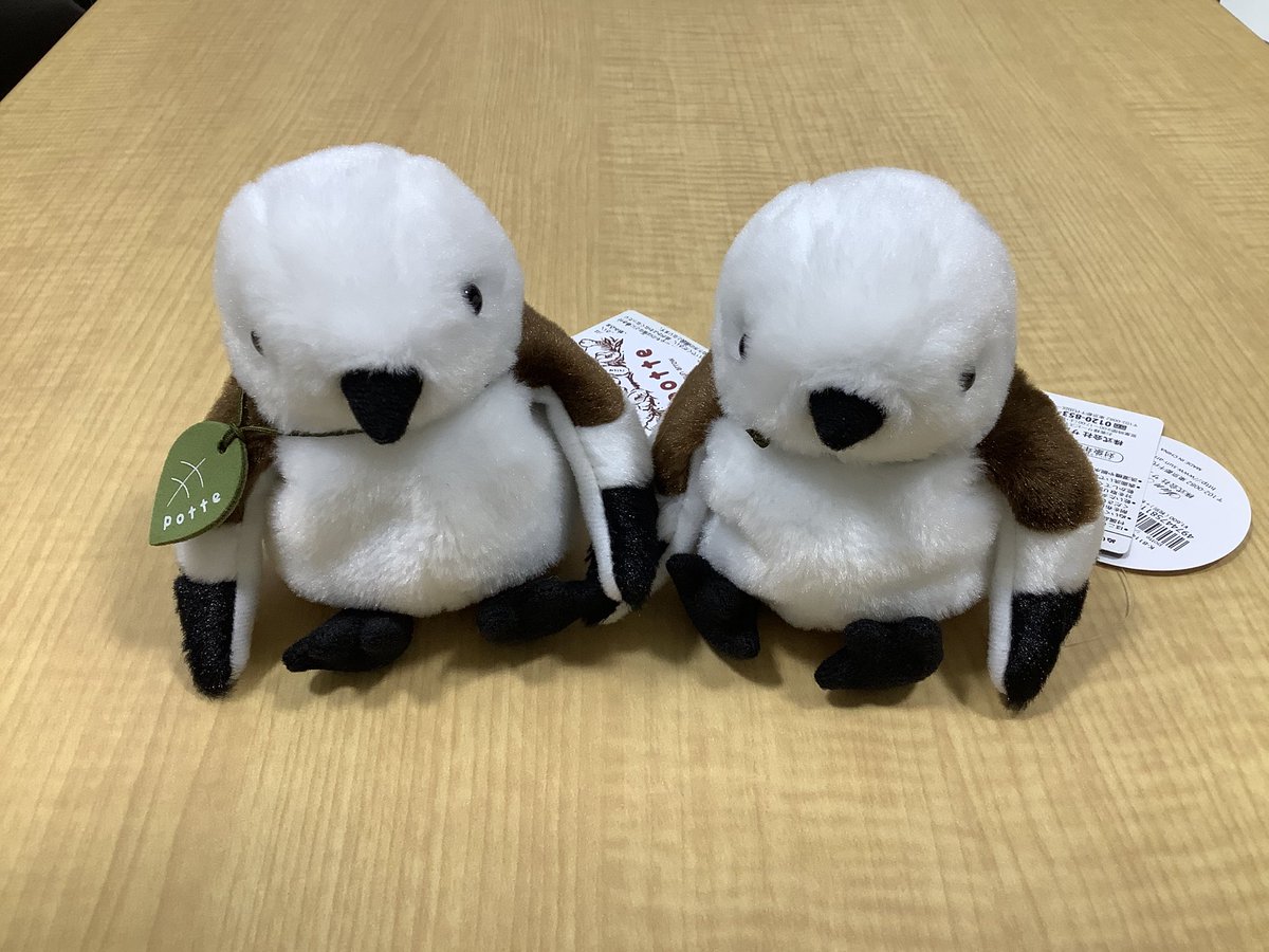 おもちゃのヨシダ札幌店 大空スタッフ 昨日がシマエナガの日だったという事を知っていますか そこで今日はシマエナガの ぬいぐるみを紹介 それぞれ素材の違った商品ですが どちらも手のひらサイズのかわいいぬいぐるみとなってます おもちゃの