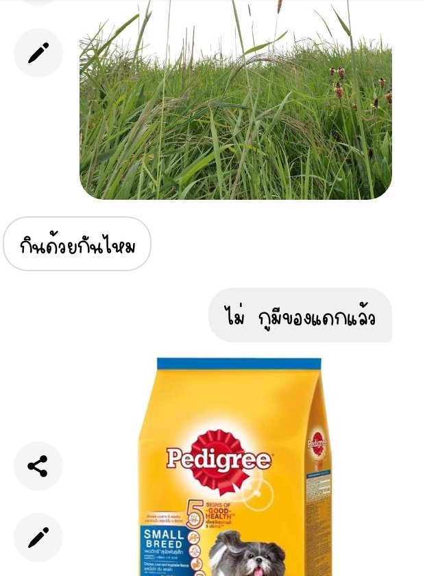 *เพื่อนรักข้ามสายพันธุ์*