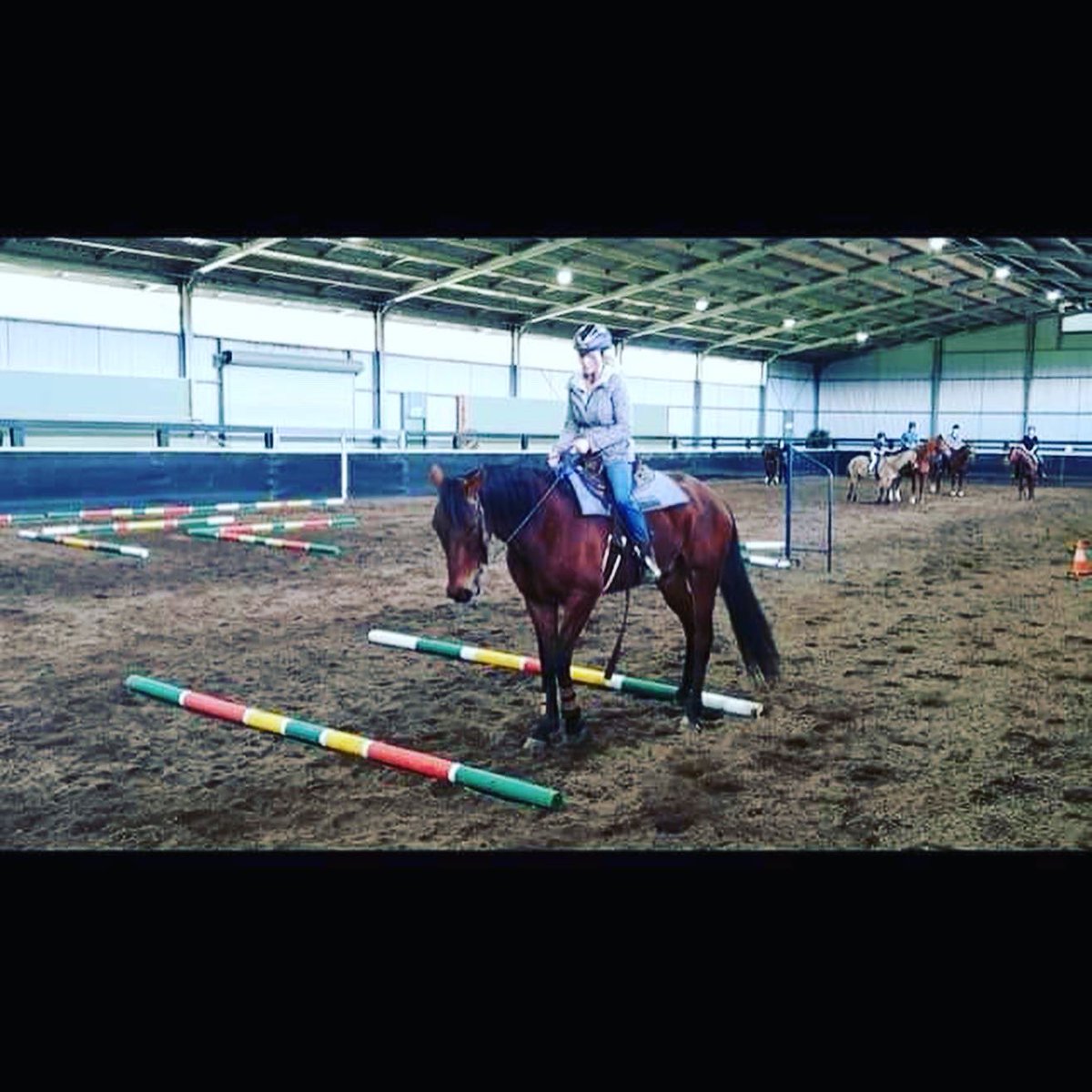 NSW Harness Re-Homing (@harnessnsw) on Twitter photo β¨ππ΄π½ππ
ππππ·πΏπΈπΌπΊπ»β¨
πβππ π ππ£ππ-π¦πππ-πππ πππππππ ππππ¦ πππππ 18 π‘ππππ ππππππ βππ£πππ π‘π ππ πππ‘ππππ.
π»π ππ πππ€ πππ£πππ ππ π‘βπ π»π’ππ‘ππ ππππππ¦ πππ ππ π£πππ¦ πππ£ππ! β€οΈ β¨ππ΄π½ππ
ππππ·πΏπΈπΌπΊπ»β¨
πβππ π ππ£ππ-π¦πππ-πππ πππππππ ππππ¦ πππππ 18 π‘ππππ ππππππ βππ£πππ π‘π ππ πππ‘ππππ.
π»π ππ πππ€ πππ£πππ ππ π‘βπ π»π’ππ‘ππ ππππππ¦ πππ ππ π£πππ¦ πππ£ππ! β€οΈ