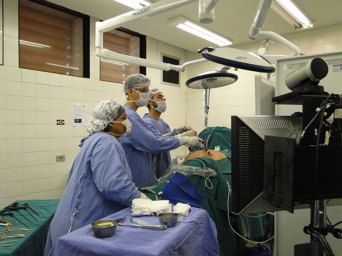 WHAT DOES A UROLOGIST DO

READ MORE: falconmedcare.com/Blogdetail?pag…