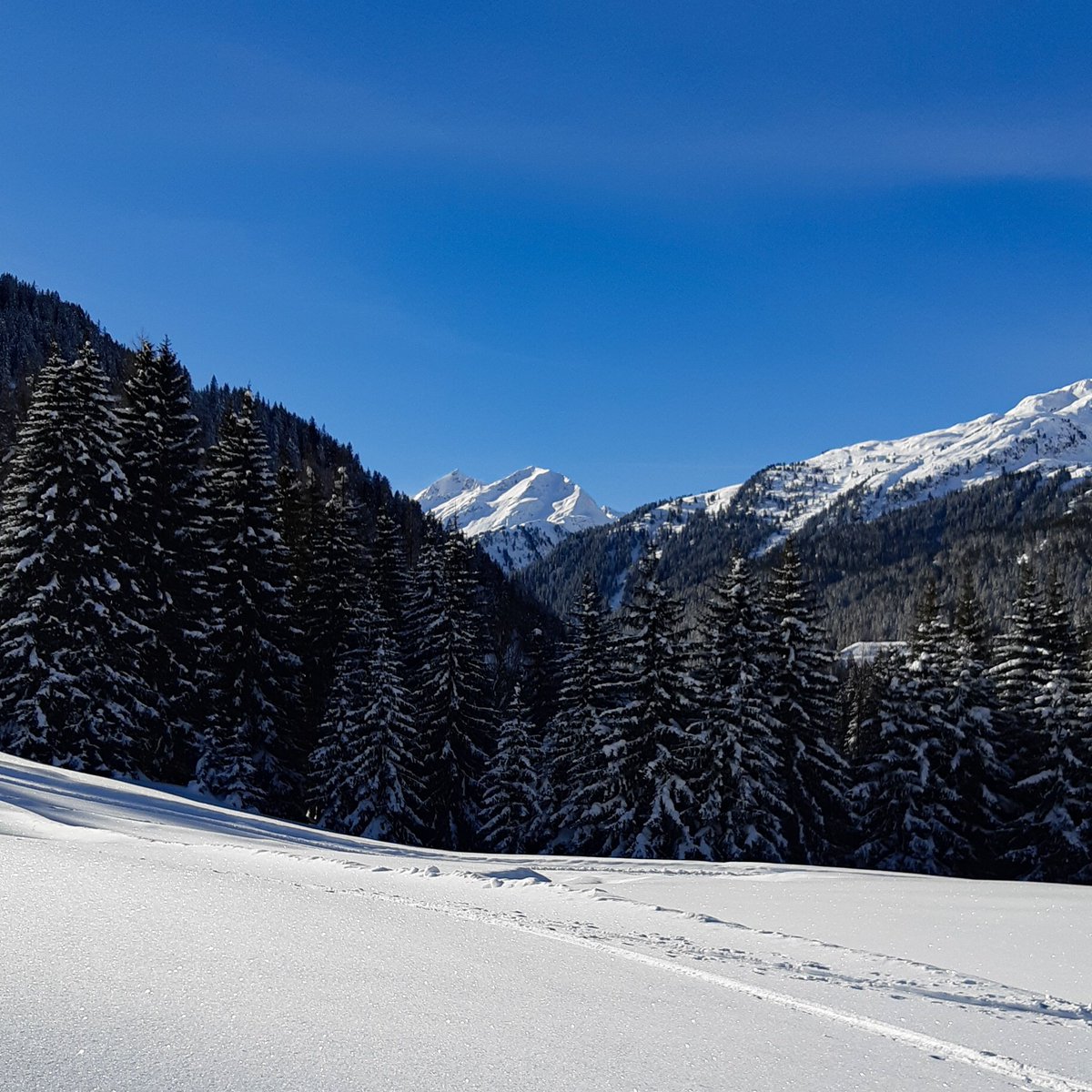 StantonReview's tweet photo. 🤩 Oh happy day ... 😎🏔
#stantonamarlberg
📷 M.Jordan
#arlberg #austria #rendl #winterdream #winterreality #thursdayvibes #mountainlife https://t.co/cGGhVS3T9A