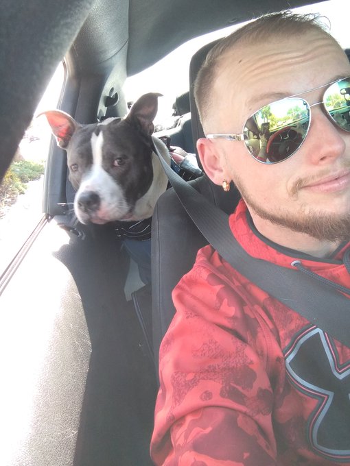 So my dog thinks I have to much time on my hands lol https://t.co/8cIWpkZZy3