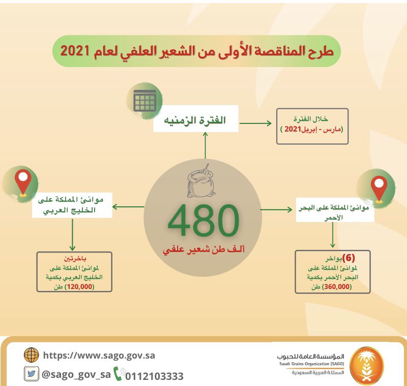 الصورة