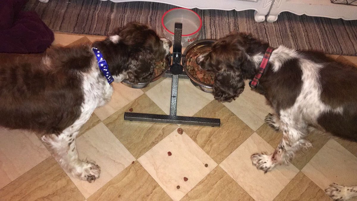 Fred and Barney, mad as you like and both made it to 16