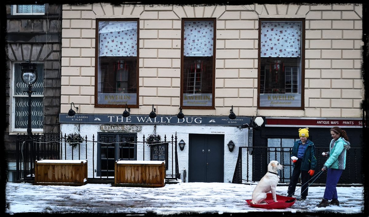 Not exactly the way a dog sled is supposed to work!... 🐕🐕🐕🐕🐕🐕🐾🐾🐾🐾🐾🐾🐾🐾🐾🐾🐾