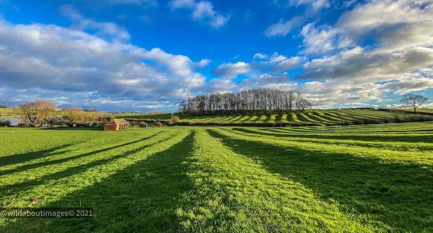 wildaboutimages's tweet photo. Our village Ridge and furrow showing well in this mornings light ! #ridgeandfurrow #churchover #Warwickshire #iphonepic https://t.co/zmvGcc3hh8