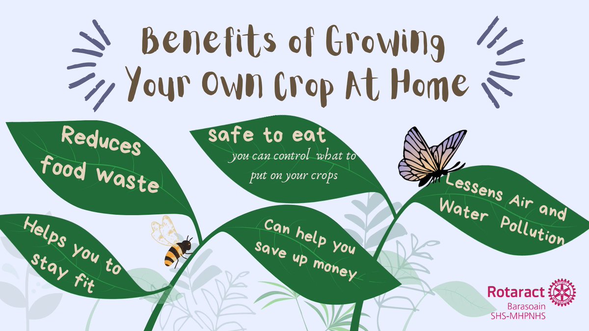 racbarasoain's tweet photo. Having your own organic garden at home would not only benefit you but also the environment itself. Try home gardening with us! Support us in our journey as we aspire other people to support the environment in their own little ways.

#PlantItBuddy
#SupportTheEnvironment https://t.co/TIoZO3nhMc
