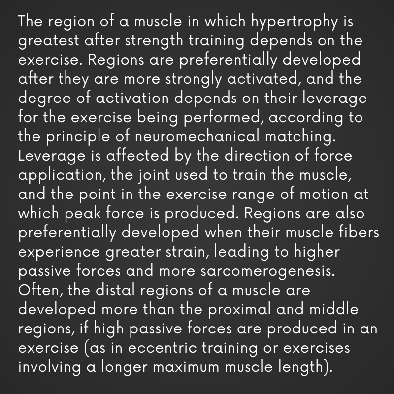 SandCResearch's tweet photo. Regional hypertrophy often occurs after strength training. Where growth is greatest within a muscle differs depending on the exercise that is used in training. This supports the idea of using a variety of exercises for bodybuilding.

Read more: https://t.co/hsIBlTDXL2 https://t.co/xdKGPo1ocS