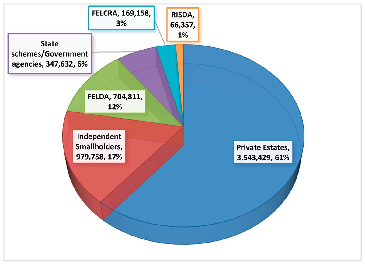 Breakdown of oil palm planted area by category