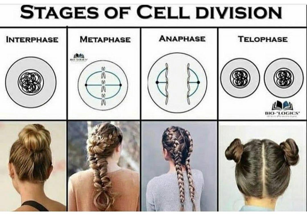 NdhsScience's tweet image. 
