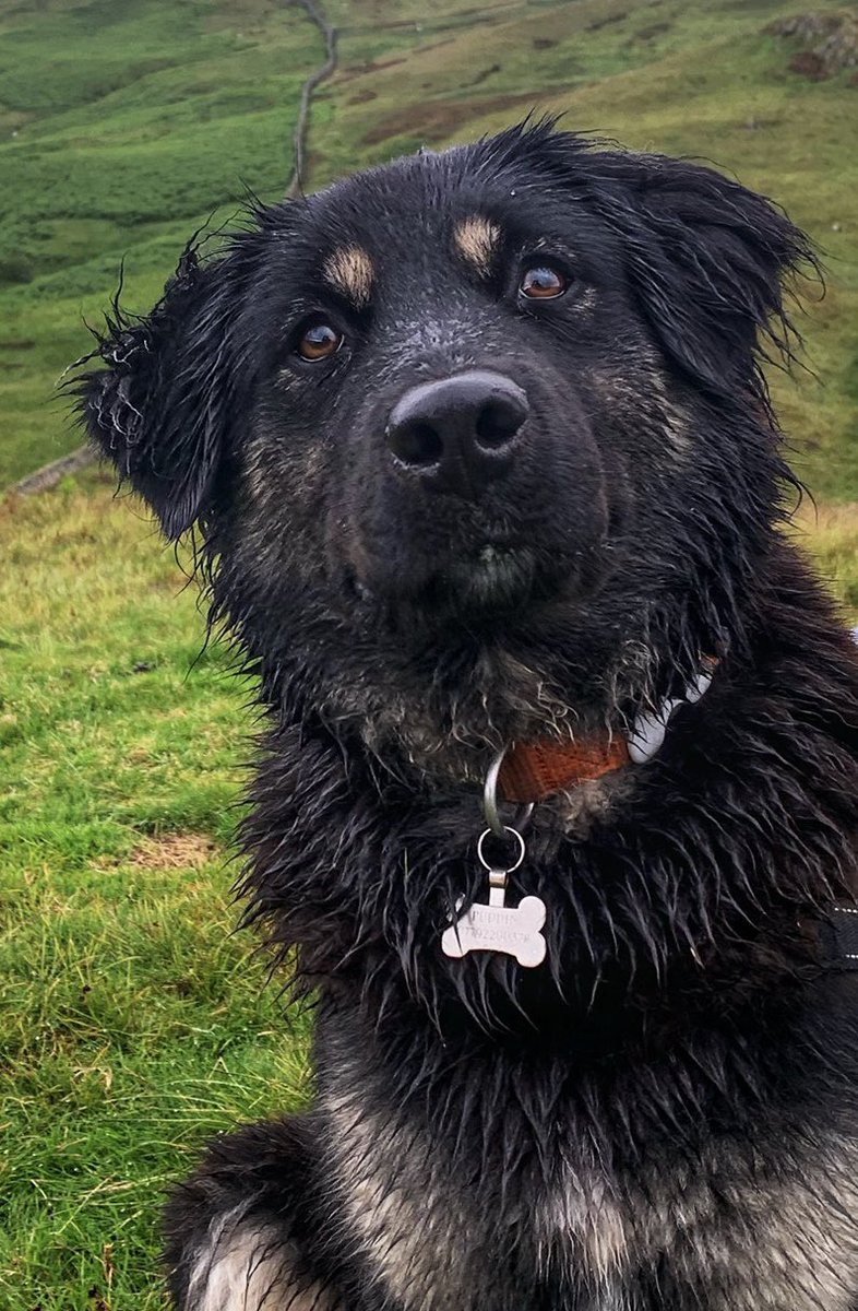 Keswick boot co tweet media