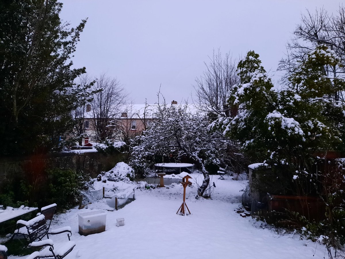 Diana_McCobb's tweet photo. @Liam_Ball92 This is the scene in #Edinburgh last night and this morning #BalgreenDi https://t.co/fyeqdL02mu