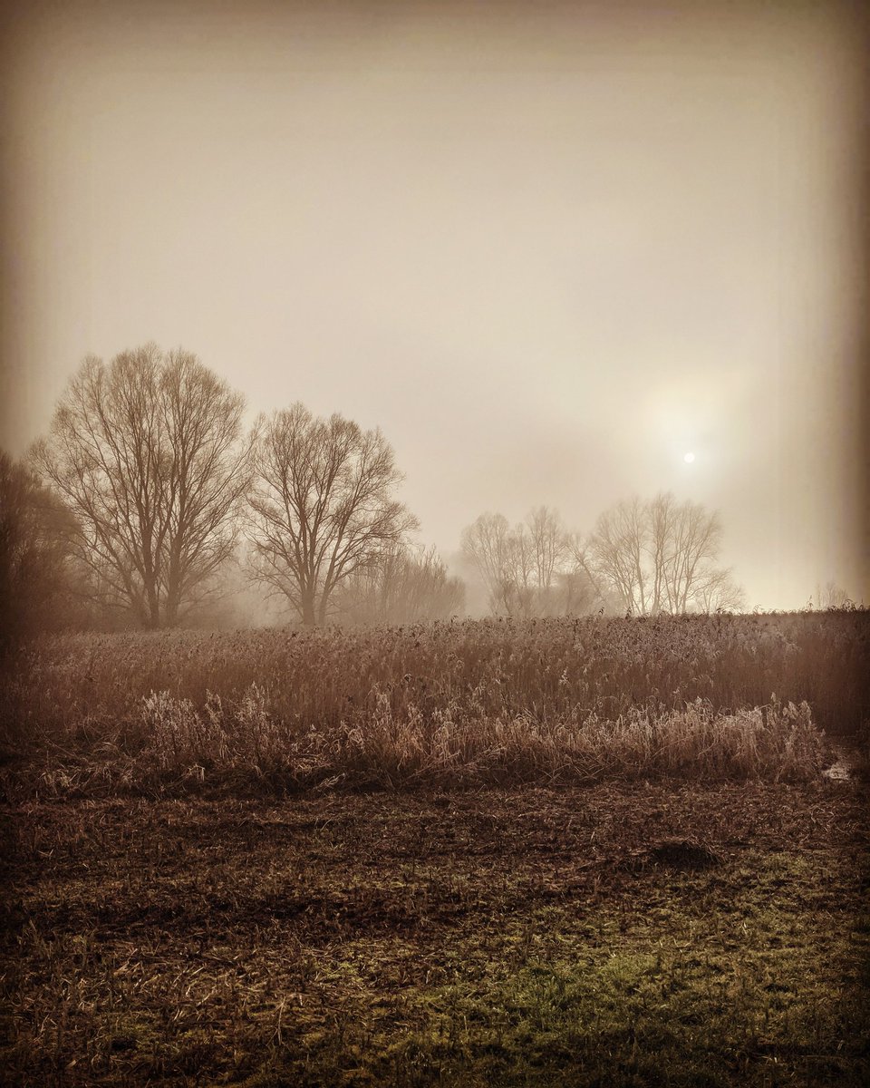 path_river tweet picture