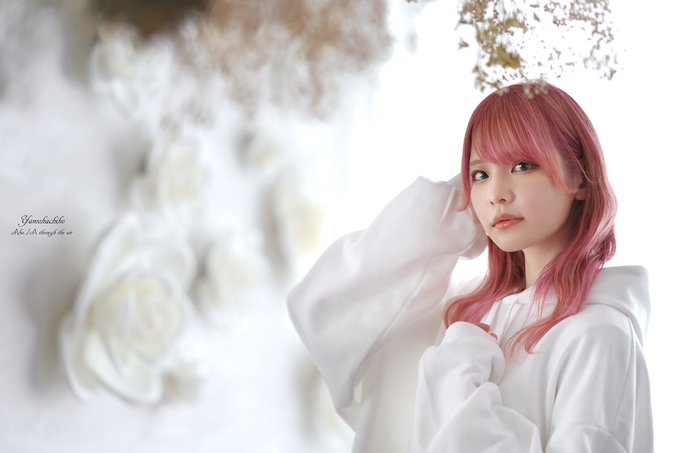 やもちゃんのtwitterイラスト検索結果