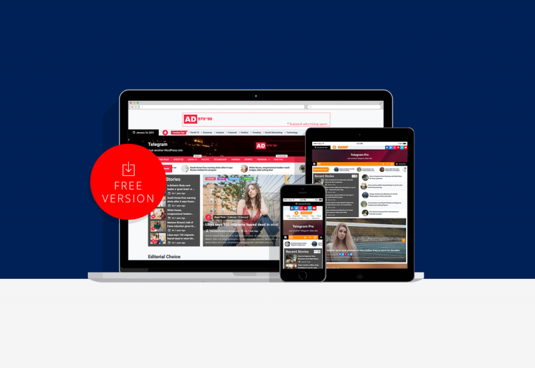 WordPress Theme tweet media
