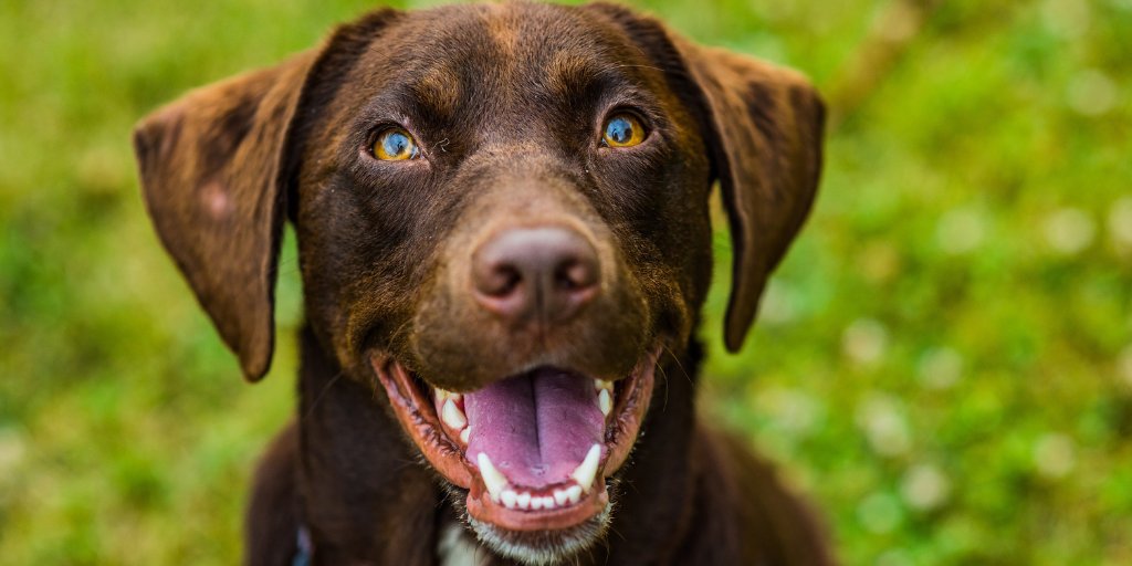 ArkenLegal's tweet photo. We've got some VERY exciting news coming soon at https://t.co/PkITuiVv0U... Keep your eyes peeled! (THIS is how exciting we are to tell you about it...!) #gamechanger #legaltech #willwriting #willsoftware #estateplanning https://t.co/MUYMBCwj0W