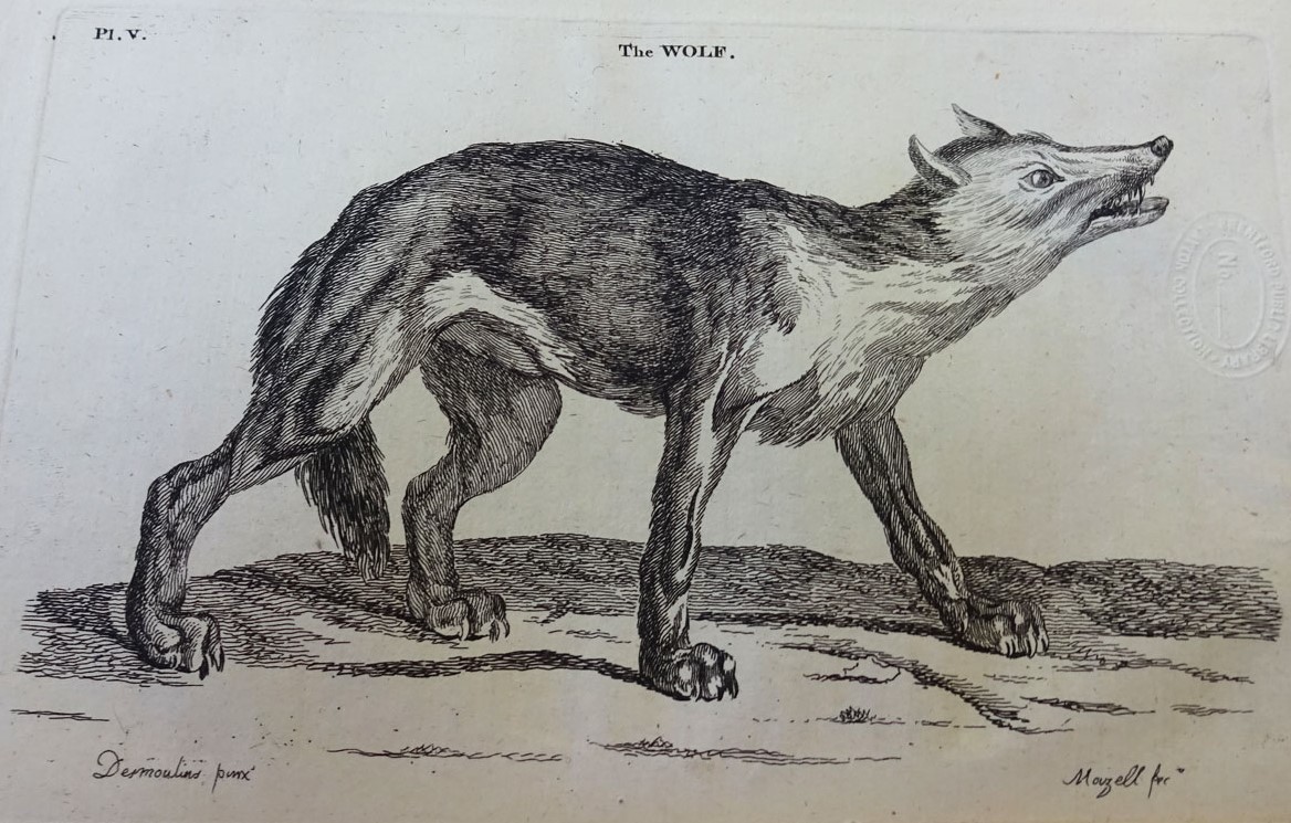 Engravings from Welsh naturalist Thomas Pennant's 'British Zoology', 1776. Pennant's travelogue takes readers from his front door, along carefully described routes, detailing the scenery, people & wildlife he comes across. thomaslayton.org.uk/2017/05/10/bri… #HBAHAnimals #HistoryBeginsAtHome