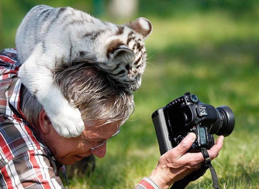 Obi_stan_one's tweet image. A thread of animals interrupting wildlife photographers. 

I hope you enjoy it:
1.