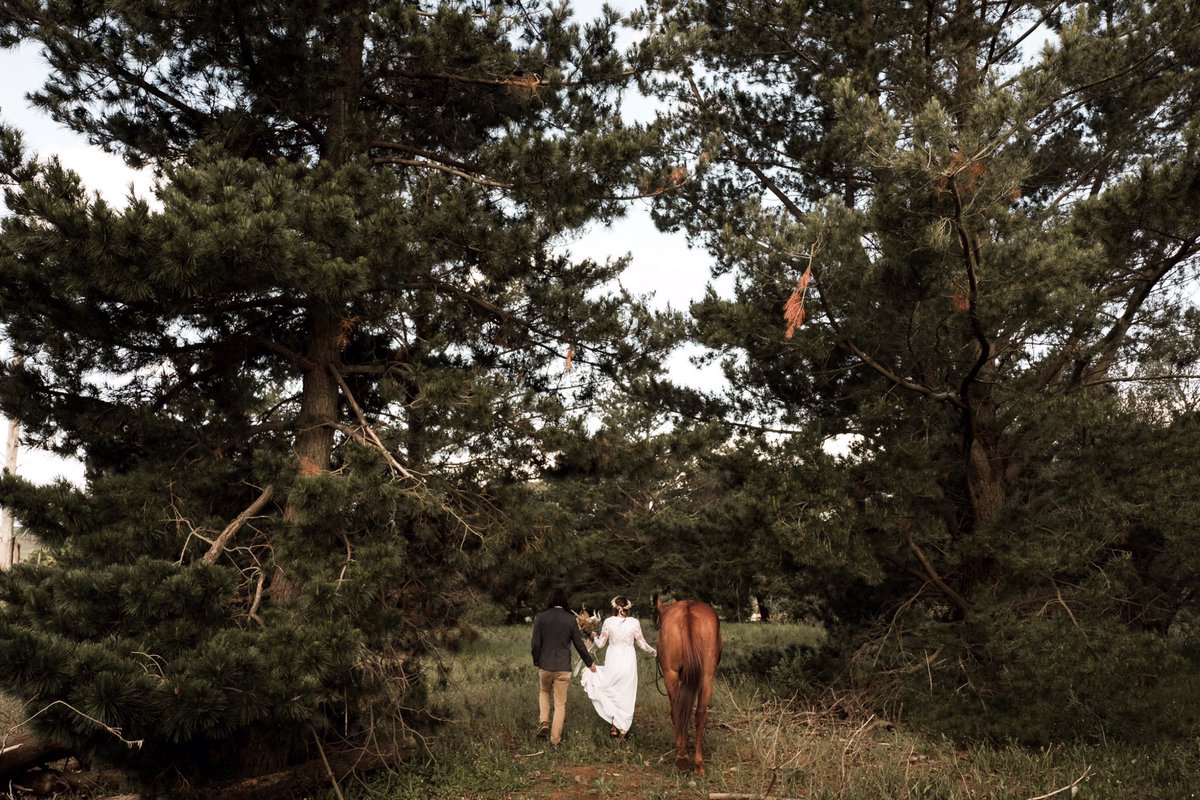 Harry, Charissa &amp; Steve! Steve is the good boy on the right 🐴

We can’t wait to share the video we did for this wedding with everyone. 

#capetownweddingphotographer #capetownwedding #gardenroutephotographer #gardenrouteweddings #westerncapeweddings #southafricanweddings