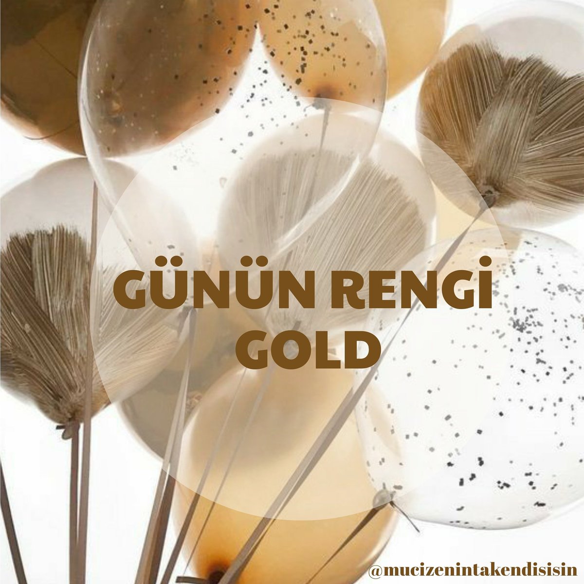 Günün rengi gold
#gold #enerji #frekans #gününenerjisi  #numeroloji #gununfrekansi #gununrengi #altin #mucizenintakendisisin #mucizenintakendisisinoneriyor #mutlulukyakalanir #mutluyumçünkü #hergunebirguzellik #mutluluk #mutluolmakiçinküçükşeyler
instagram.com/p/CKTNJHQDoeP/…