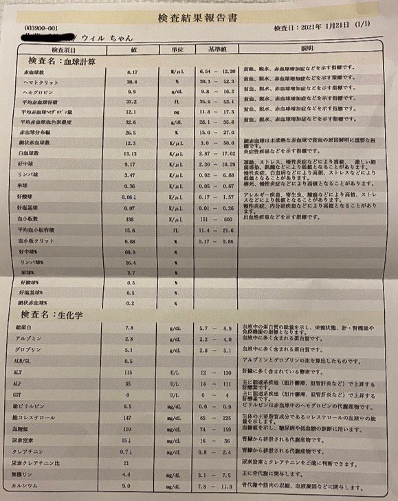 willpapa4's tweet photo. 昨日で投薬を開始して1週間ということで今日は副反応検査に行ってきました。
結果は、どの数値も安定しているのとことで安心しました。
しかし、体重が増えてしまい当薬量が増えました…
健康なのは嬉しいですが体重管理も気をつけたいと思います！ https://t.co/wkI6mWZwf0