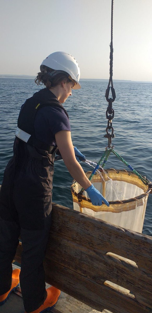 thembauk's tweet photo. Meet our #MBASeaGoingTeam π€βοΈ
@Alison_E_Small is our Sea-going Research Technician. With consideration, Ali manages our samples and data collected at sea - from live organisms to digital data and delivers @MBA_RV education & outreach π¬π¦π#WomenInSTEM #ScienceAtSea #RVSepia https://t.co/qVB0QN7RSy