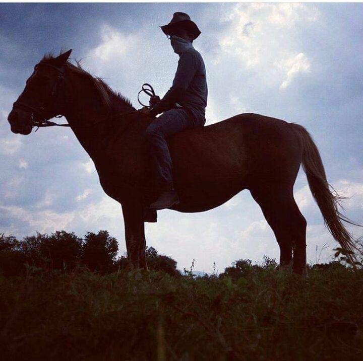 To ride a horse is to fly without wings 🐴🐎
#horselover #horseriding #bareback #kzn #Horse