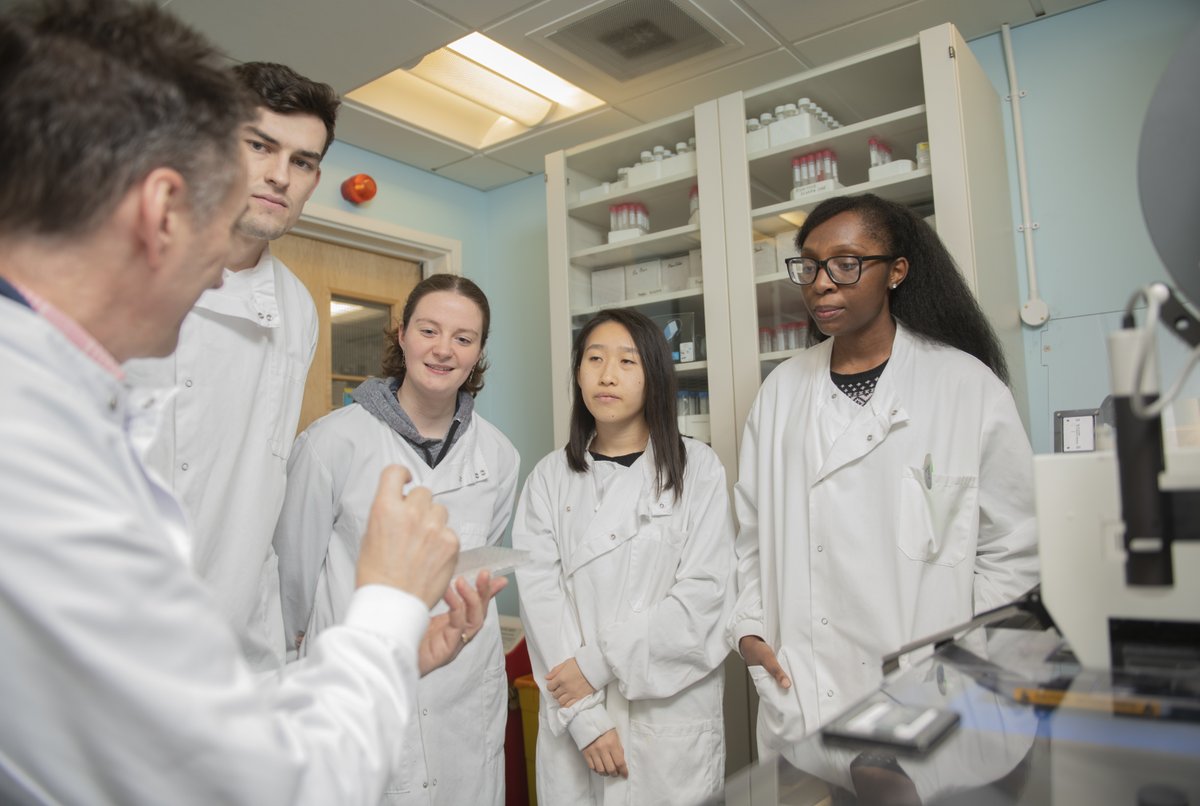 MRCDTP_IBR's tweet photo. Interested in joining us in Sept 2021 for a funded MSc + PhD in Interdisciplinary Biomedical Research?  Come to our live applicant webinar at 2pm on 3 Feb to find out more about our fantastic training &amp; research opportunities + lively DTP community! https://t.co/VEmllz7KEy https://t.co/KMs5ta7trR