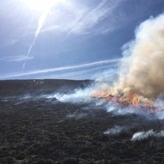 In Manchester, thousands of homes have been evacuated and a major incident declared.The rivers running through the city drain, via a number of tributaries, from the heavily-burnt grouse moors of the Pennines. https://www.manchestereveningnews.co.uk/news/greater-manchester-news/manchester-flooding-thousands-homes-told-19668639 Burning at Stalybridge, Lancashire.