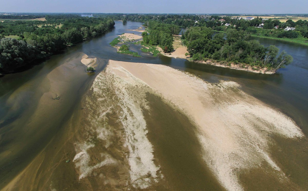 eLTER_Europe's tweet photo. The LTSER Zone Atelier Loire is part of #eLTER France 🇫🇷 network. The site studies the Loire river basin on a long-term scale 🚤!
 
Observations and #experiments conducted here analyse society-environment interactions in connection with the #river 🎣!
 
➡️ https://t.co/rIbjukF6pl https://t.co/HERSczlDrM