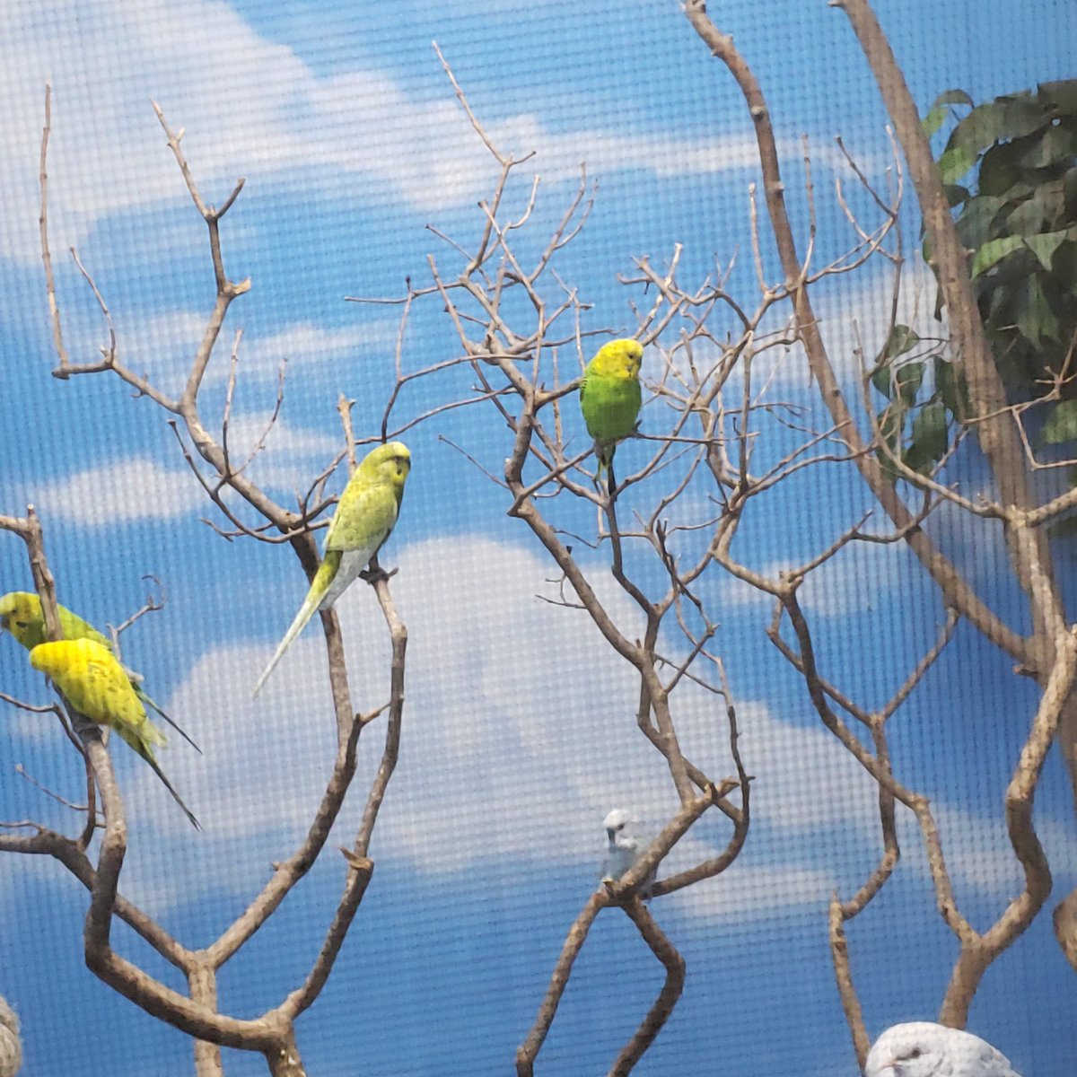 DrakeFowler16's tweet image. 