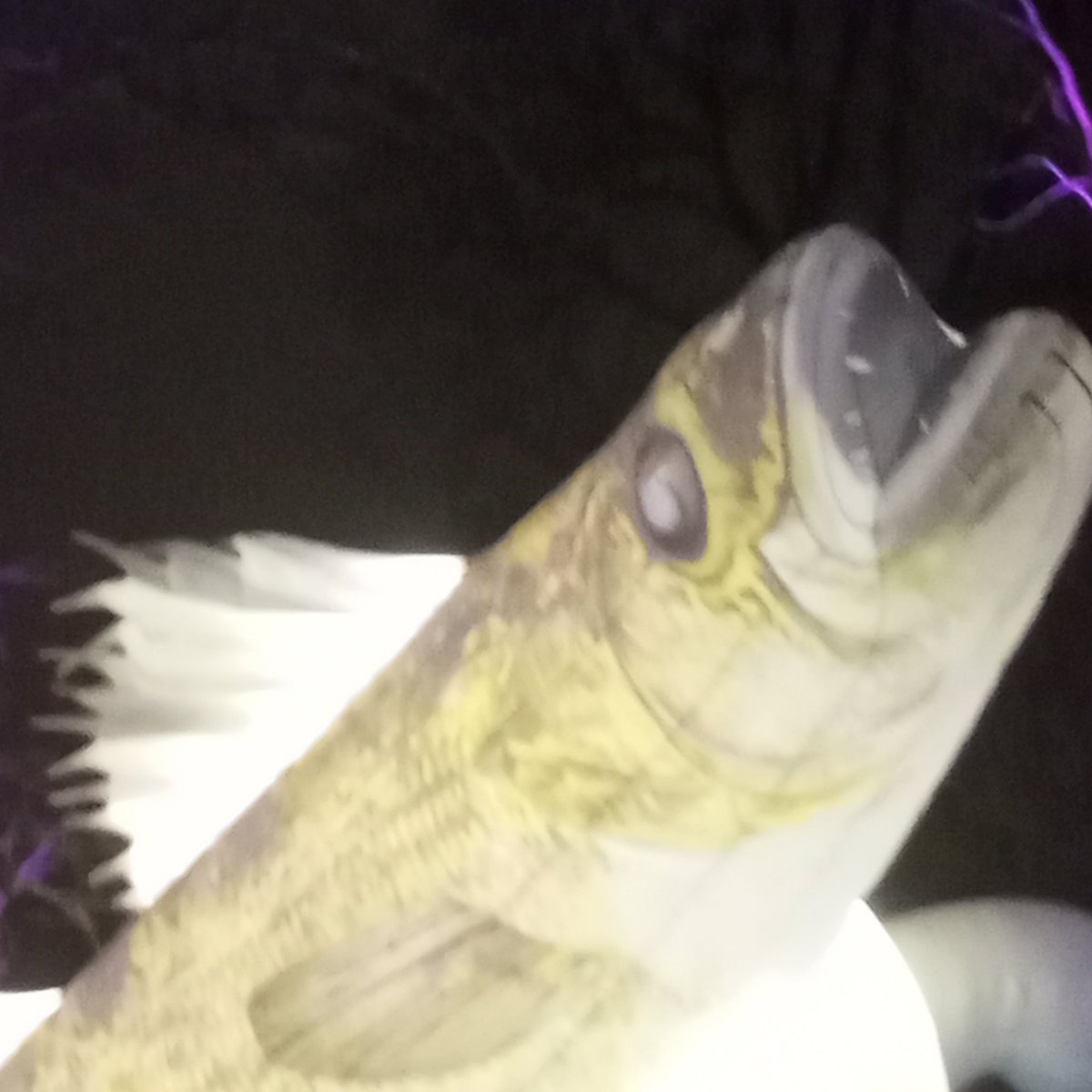 DrakeFowler16's tweet image. 