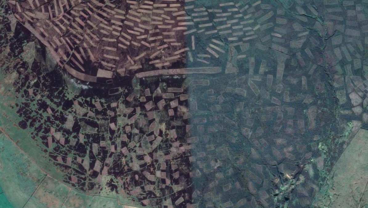 In Weardale, a key worker had to be rescued when water pummelling down from the moors engulfed infrastructure.It's the same as elsewhere in northern England. Burnt grouse moors, damaged peatlands, failing to hold back rainwater, with communities flooded. https://twitter.com/SkyNews/status/1352143892456435713