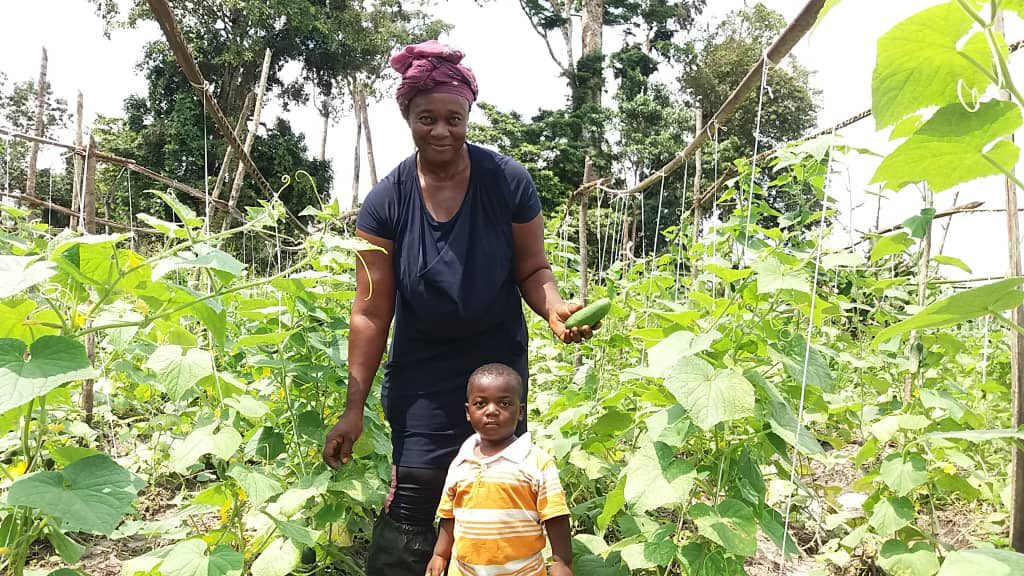 OmvaH's tweet photo. Une task force s’impose dans le secteur agricole en association avec les agro ressources (PFNLs)@OssoukaRose @LeeJTWHITE @biendimaganga @MbomGhislain Aujourd’hui nous avons toutes les cartes en mains mais nous devons revoir les stratégies de mise en œuvre. https://t.co/JjHDgfzwxS