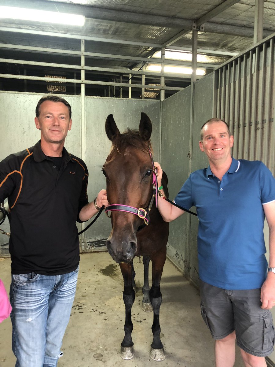 vege07's tweet photo. Great to have the boys @DoggzRogue on track @BendigoTrots to see our little man get the chocolates 🍫 great drive @ChrisAlford5000. He’s only little but we love him Belittled 💪 https://t.co/dej7rJO8ud