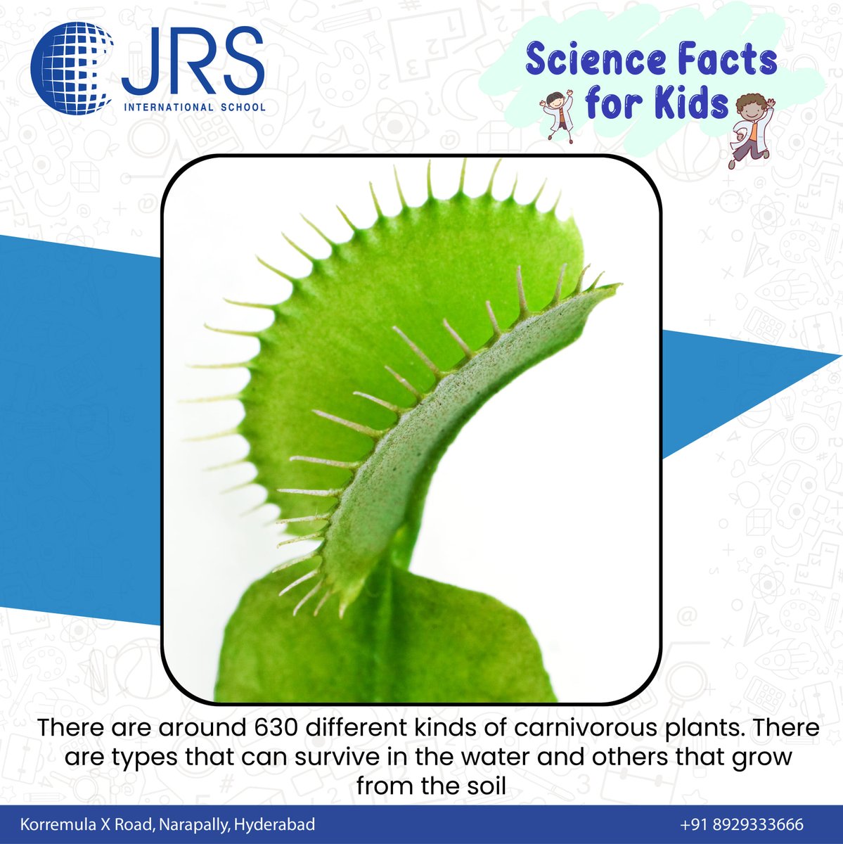 Science Facts for Kids.
There are around 630 different kinds of carnivorous plants. There are types that can survive in the water and others that grow from the soil.
#Science #ScienceFacts #FactsForKids