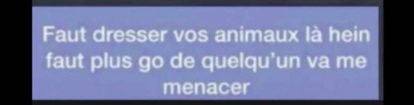 Dressez vos 🐕 chiennes🐶