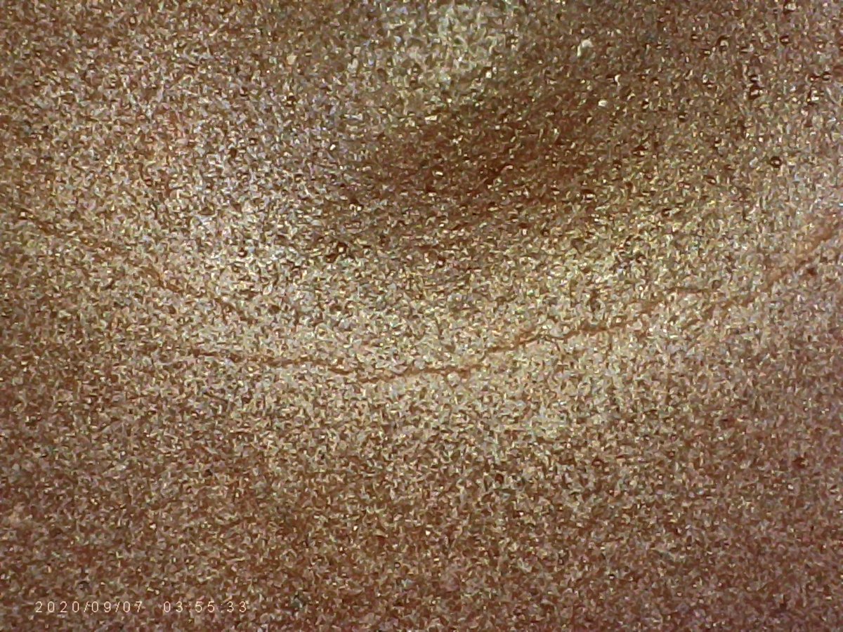 1000_stuff's tweet image. Girl Scout Cookie series: Thin Mint (top) x1000