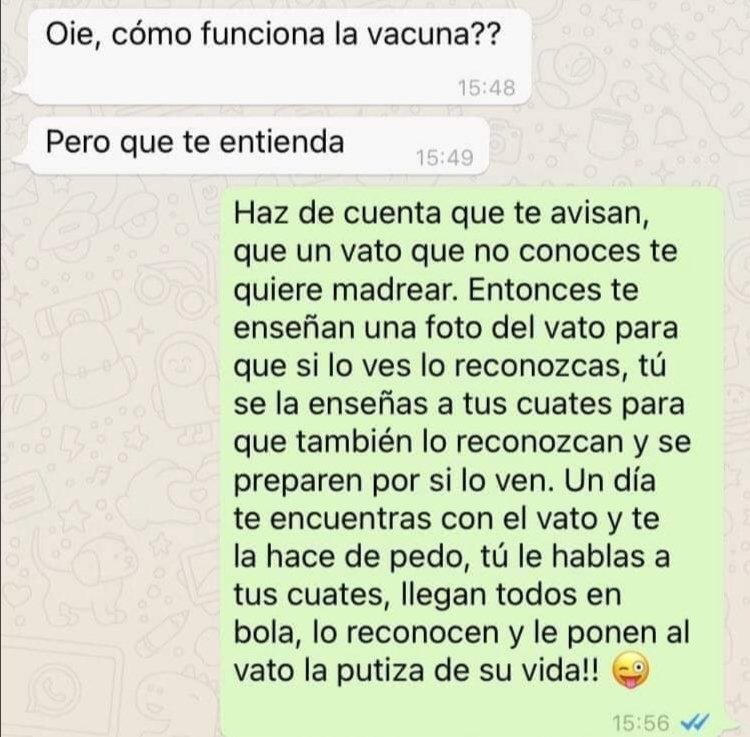 Verónica Fonte tweet media