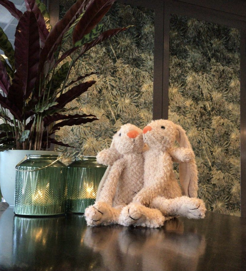 Nationale 𝗞𝗻𝘂𝗳𝗳𝗲𝗹dag 💚
Bent u bij Airport Hotel Rotterdam? Koop een knuffel en maak een ander blij met dit unieke, zachte knuffelkonijn! Met de opbrengst financiert het Ronald McDonald <a href="/Kinderfonds/">Ronald McDonald Kinderfonds</a>  campagnes voor het werven van nieuwe donateurs.