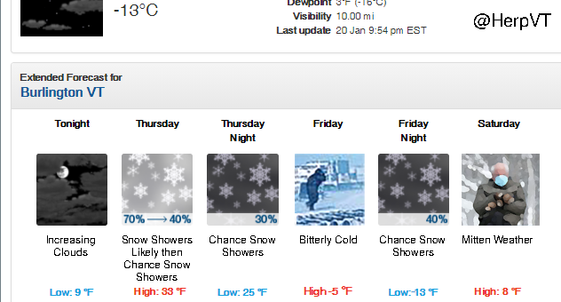 herpvt's tweet photo. So apparently NOAA just updated their forecast icons to include "Mitten Weather". Stay tuned this Saturday! 😂😂😂 #berniesmittens #berniesandersmittens #NOAA #Mittens @SenSanders https://t.co/ccJR5t4zSd