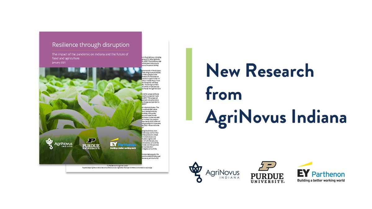 Our new study, “Resilience through Disruption,” provides a comprehensive analysis of Indiana’s food supply chain during #COVID19 and makes five recommendations to reduce fragility and improve future resilience of the state’s food supply chain. Read here: bit.ly/3o2E6eE