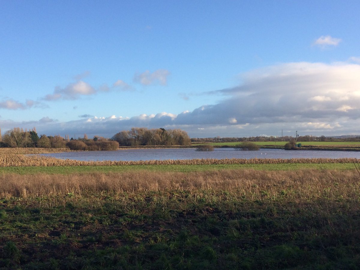 Paul Cawood (@audlemagronpaul) on Twitter photo 21/01/2021 15:36:32 You know itβs wet when the swans move in @EnvAgency @agricontract @SpunhillLtd You know itβs wet when the swans move in @EnvAgency @agricontract @SpunhillLtd