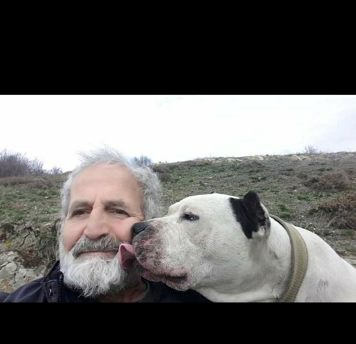 _sudenurkaplan1's tweet photo. İşinizi yapmanız için bir canın ölmesi mi lazım? 3.fotodaki can bugün barınakta öldü.Umarım o hayvanın çektiği acıların altında ezilirsiniz.Bu canların sahiplerinden ayrı geçirdiği her günün vebali üzerinize olsun! 
#yasaveyagenelgehemen
@recepbayraktarr @bekirpakdemirli @TCTarim https://t.co/nwIGHlpkIS