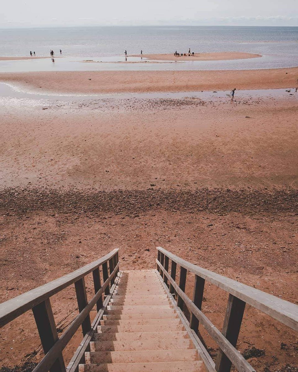 Looking back at warm summer sand and the salty sea ⛱️ #WeLovePEI

📍 Argyle Shore Provincial Park

Photo by Erica Megan