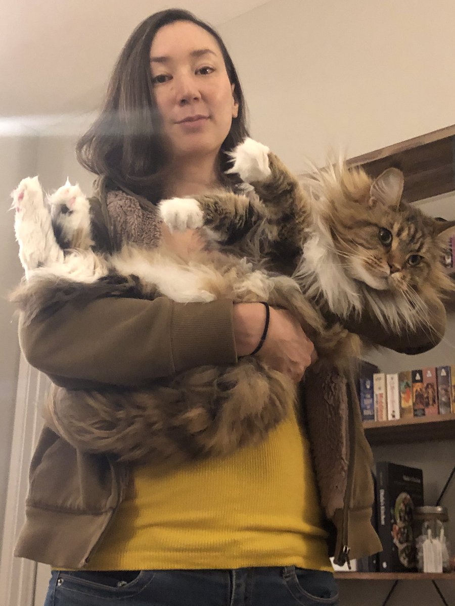 Author holding a large, fluffy Maine Coon cat