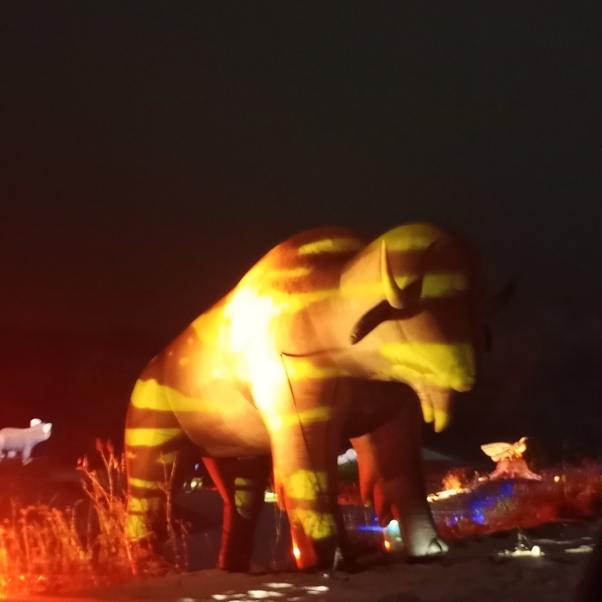 DrakeFowler16's tweet image. 