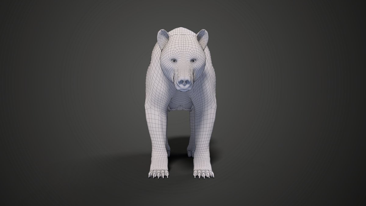 CgSuperb's tweet photo. It's a new day and we have made a new work. 
https://t.co/rFKoMh5Bo7
#UrsusArctos #bear #female #hunting #animal #mammal #wild #wildlife #nature #zoo #texture #material #realistic #fur #animated #Blender #Cycles https://t.co/EFAi9k3hrK