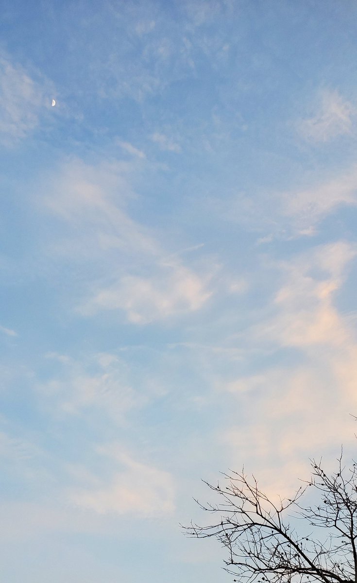 Mana Ciel 夕方前 綺麗な優しいカラーの空でしたよね 薄い水色と薄いピンクのコントラスト 好きな空の色です ひっそり見えた は お目々かな 微笑んでる顔が浮かぶよね Twitter Mana Ciel 夕方前 綺麗な優しいカラーの空でしたよね 薄い水色と薄いピンクのコントラスト 好きな空の色です ひっそり見えた は お目々かな 微笑んでる顔が浮かぶよね Twitter
